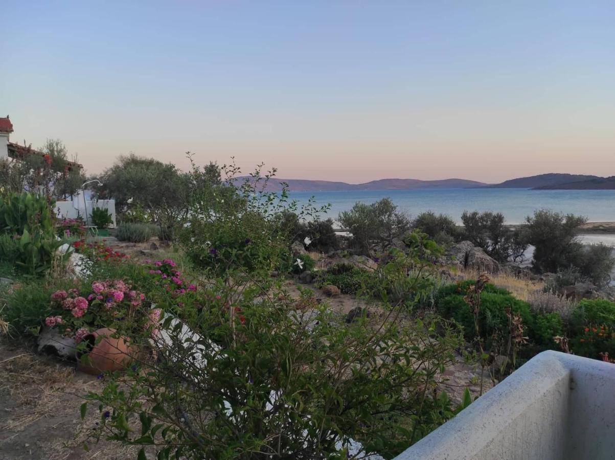 "Koukmos Beach" Greenspace Living - Private Sandy Beach Parakoila Exterior photo